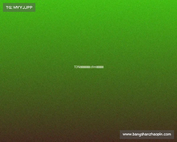 TDN电子竞技俱乐部 dtm电竞俱乐部